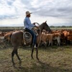 Trump’s Argentina beef import plan will harm U.S. ranchers, industry warns